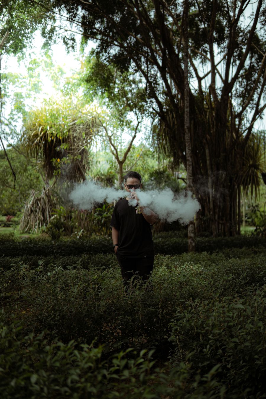 vape device